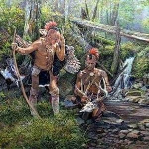 Meet your Posher, Shane